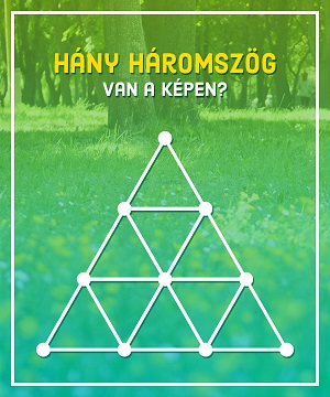medve17_hany_haromszog_sm.jpg